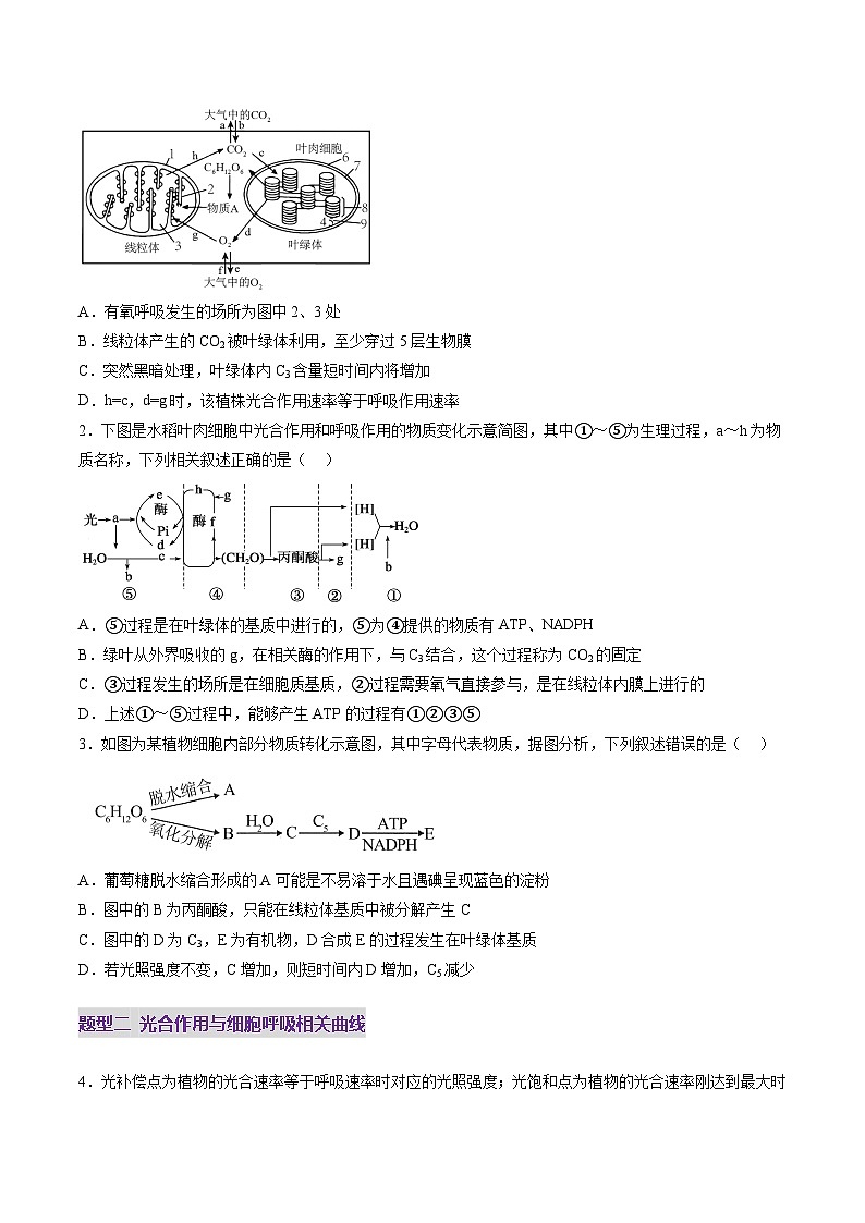 第11讲 细胞代谢综合分析（练习）（原卷版）第2页