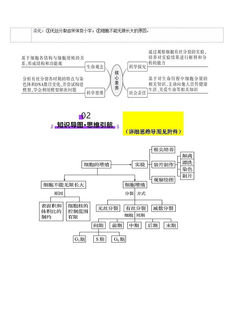 第12讲 细胞增殖（讲义）（原卷版）第3页