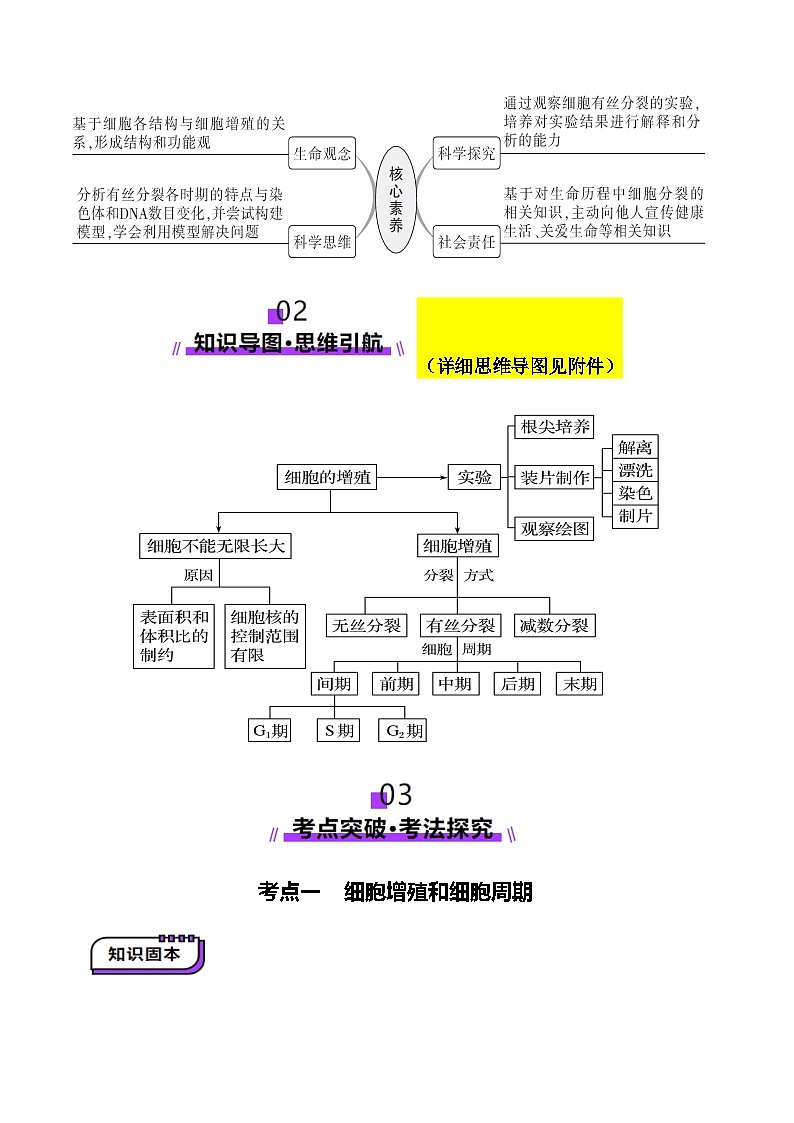 第12讲 细胞增殖（讲义）（解析版）第3页
