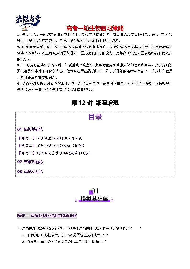 第12讲 细胞增殖（练习）（原卷版）第1页