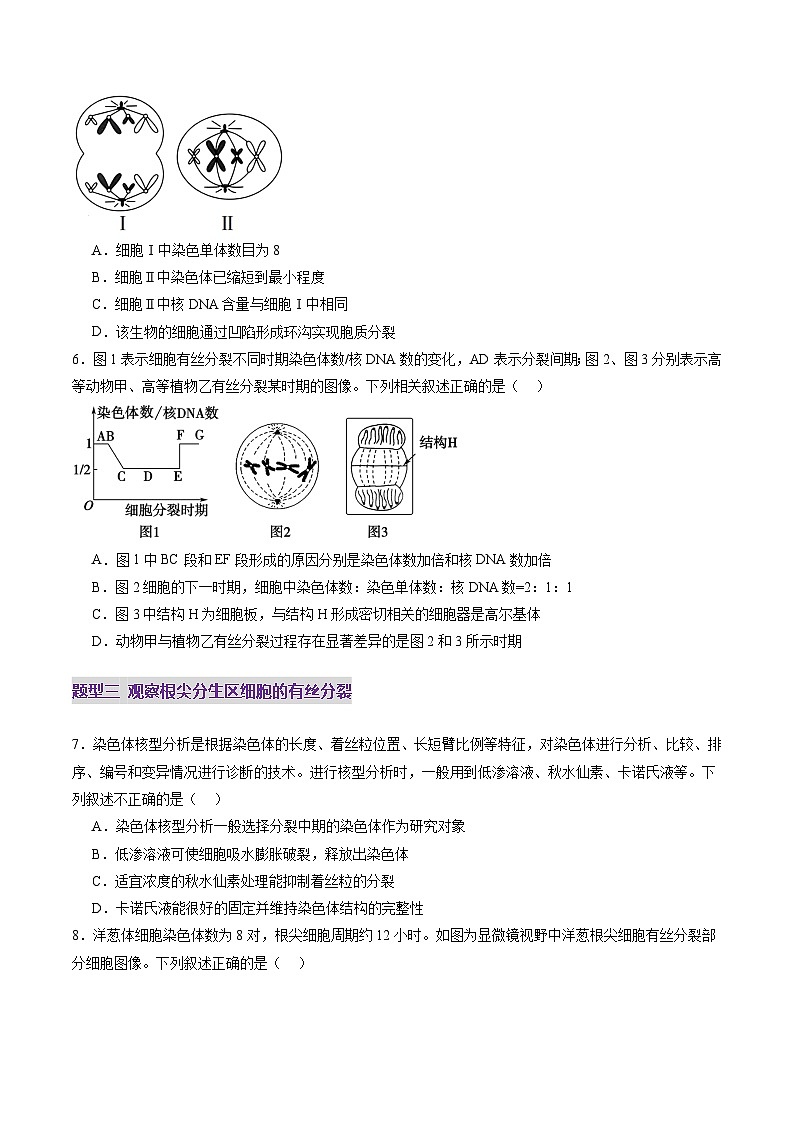 第12讲 细胞增殖（练习）（原卷版）第3页