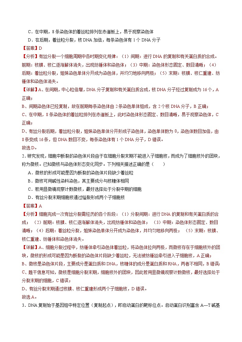 第12讲 细胞增殖（练习）（解析版）第2页