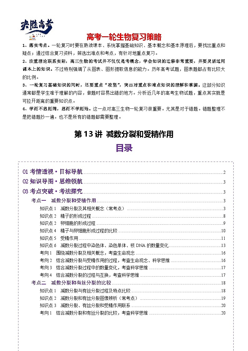 第13讲 减数分裂和受精作用（讲义）（原卷版）第1页