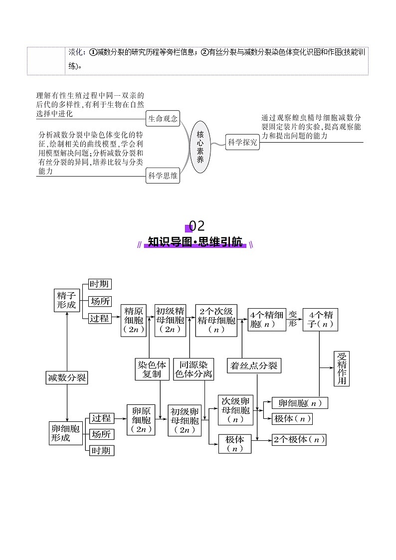 第13讲 减数分裂和受精作用（讲义）（原卷版）第3页