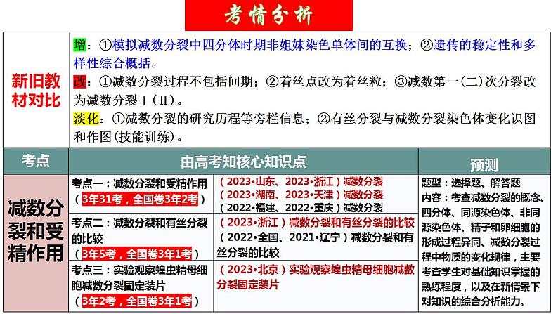 第13讲 减数分裂和受精作用（精美课件）-【高考一轮】2025年高考生物一轮复习课件（新教材新高考）第4页