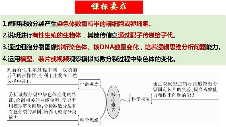 第13讲 减数分裂和受精作用（精美课件）-【高考一轮】2025年高考生物一轮复习课件（新教材新高考）第5页