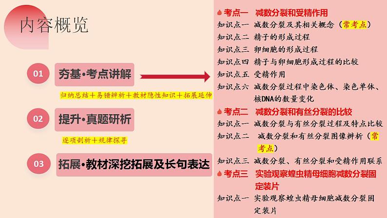 第13讲 减数分裂和受精作用（精美课件）-【高考一轮】2025年高考生物一轮复习课件（新教材新高考）第7页