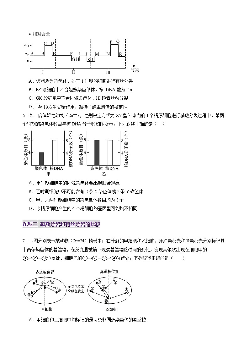 第13讲 减数分裂和受精作用（练习）（原卷版）第3页