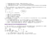 第13讲 减数分裂和受精作用（练习）-2025年高考生物一轮复习课件+讲义+专练（新教材新高考）