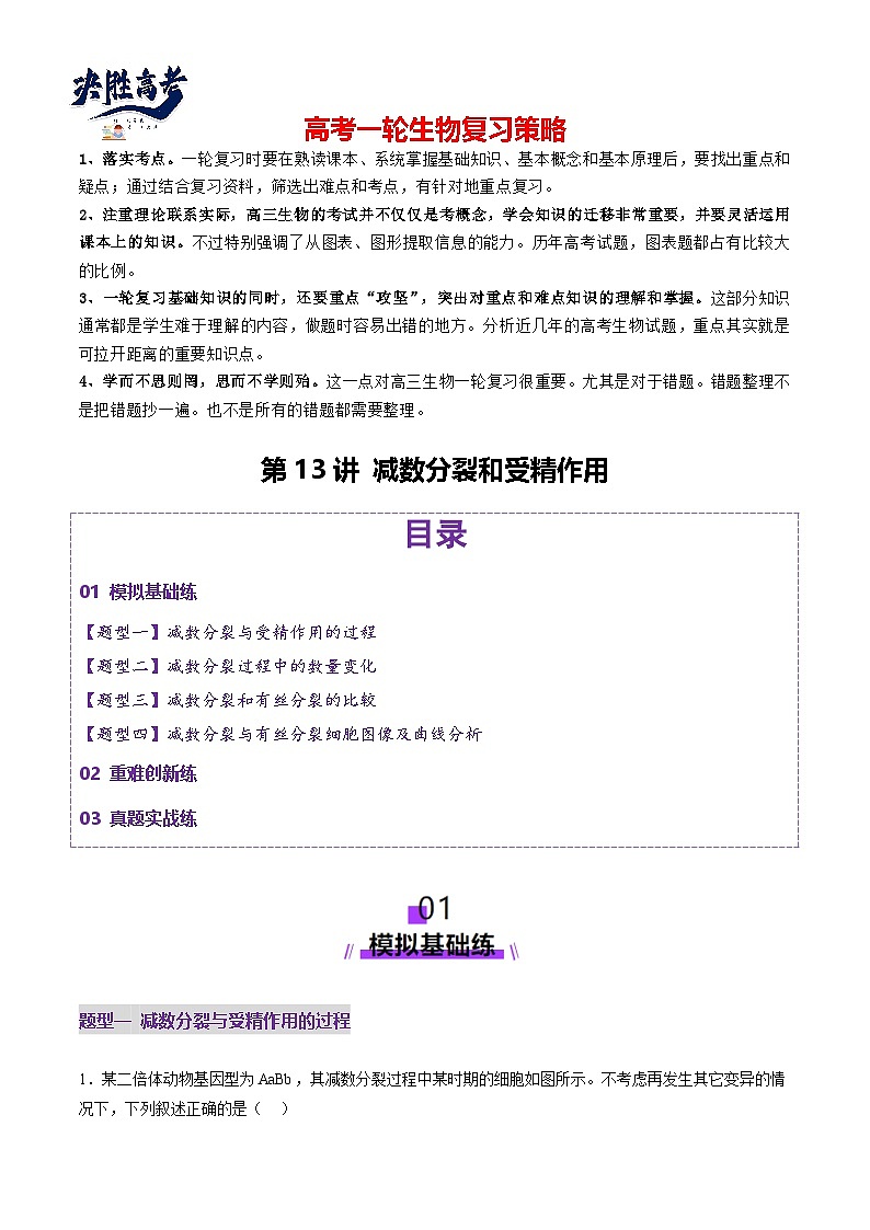 第13讲 减数分裂和受精作用（练习）（解析版）第1页