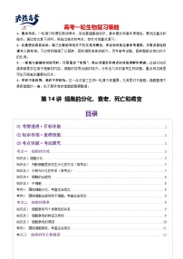 第14讲 细胞的分化、衰老、死亡和癌变（讲义）-2025年高考生物一轮复习课件+讲义+专练（新教材新高考）