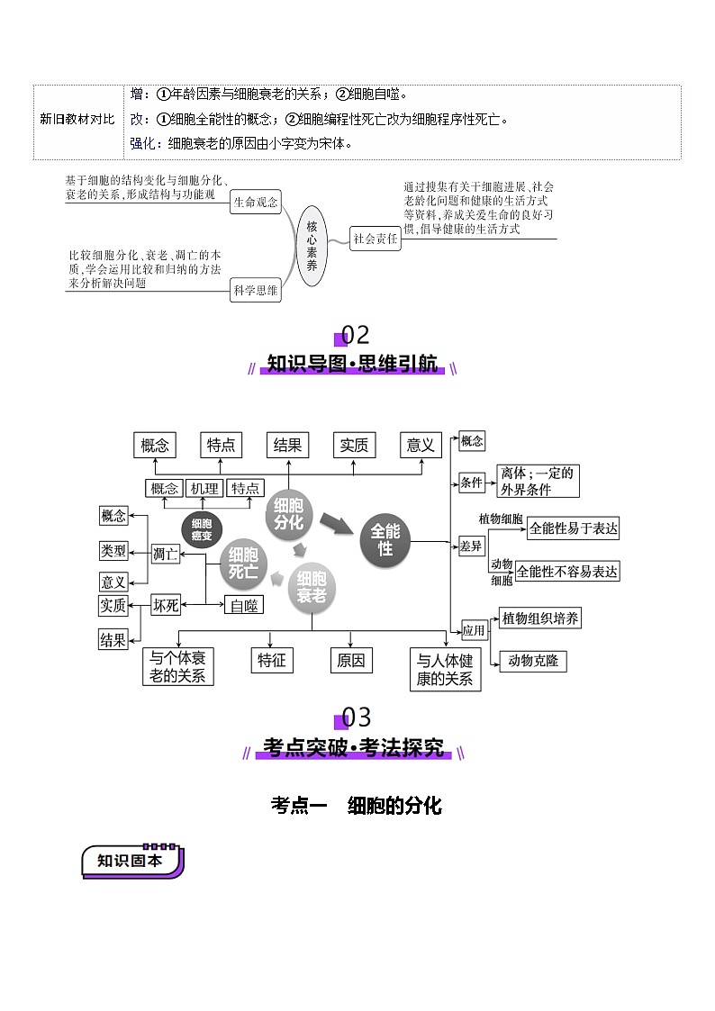 第14讲 细胞的分化、衰老、死亡和癌变（讲义）（解析版）第3页