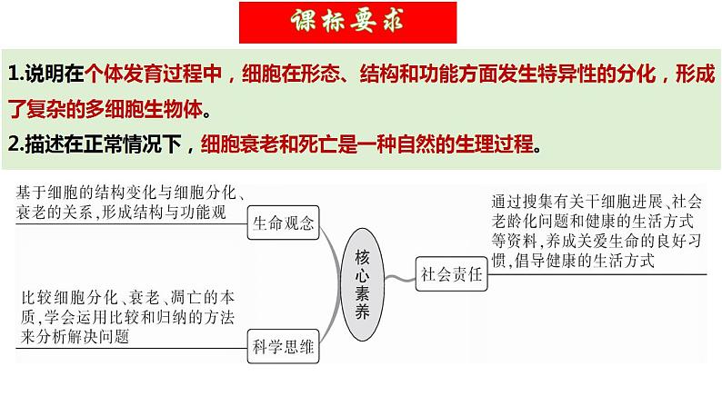 第14讲 细胞的分化、衰老、死亡和癌变（精美课件）-【高考一轮】2025年高考生物一轮复习课件（新教材新高考）第5页