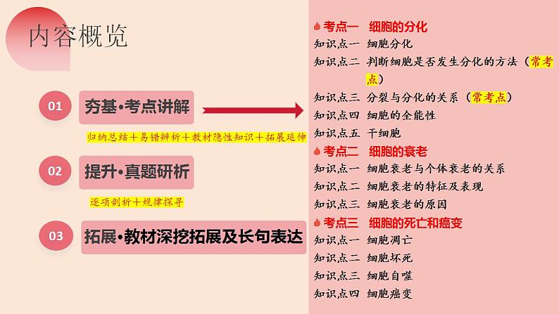 第14讲 细胞的分化、衰老、死亡和癌变（精美课件）-【高考一轮】2025年高考生物一轮复习课件（新教材新高考）第7页