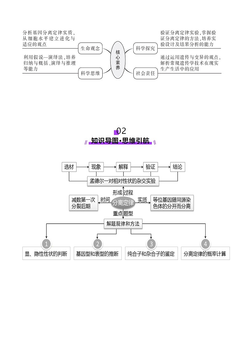 第15讲 分离定律（讲义）（原卷版）第3页