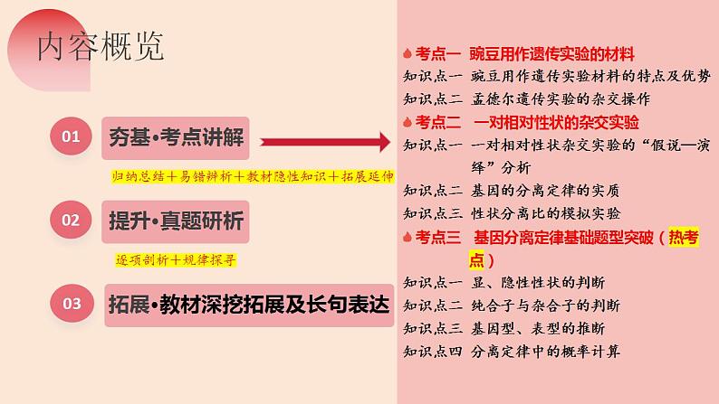 第15讲 分离定律（精美课件）-【高考一轮】2025年高考生物一轮复习课件（新教材新高考）第7页