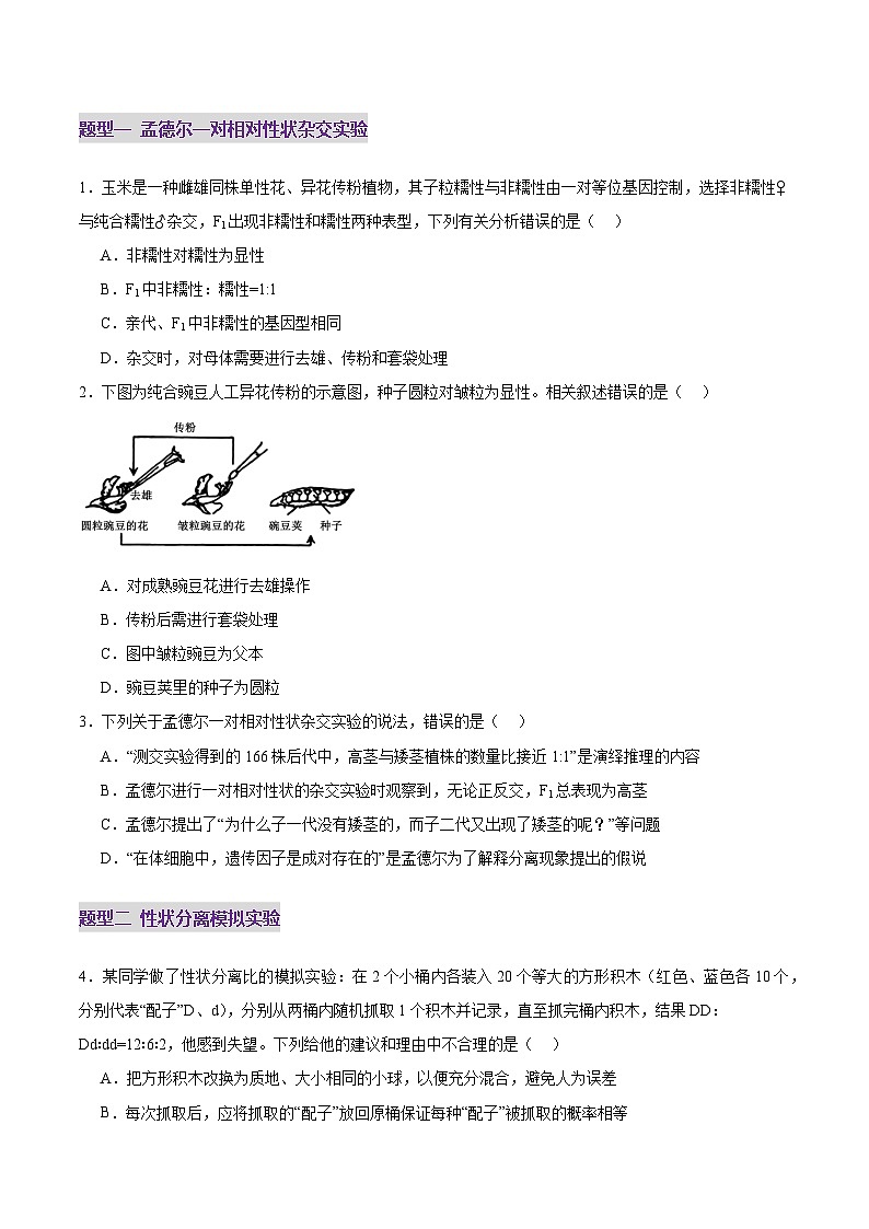 第15讲 分离定律（练习）（原卷版）第2页