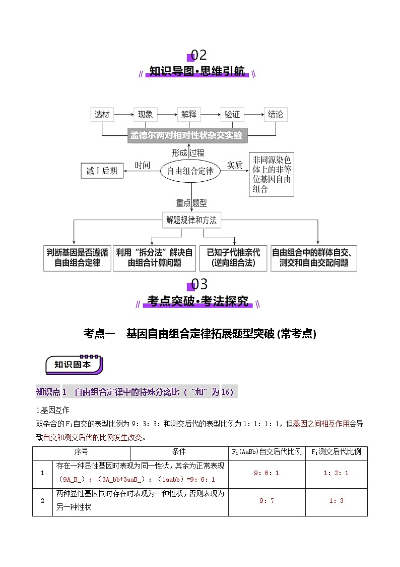 第16讲 自由组合定律（第二课时）（讲义）（解析版）第3页