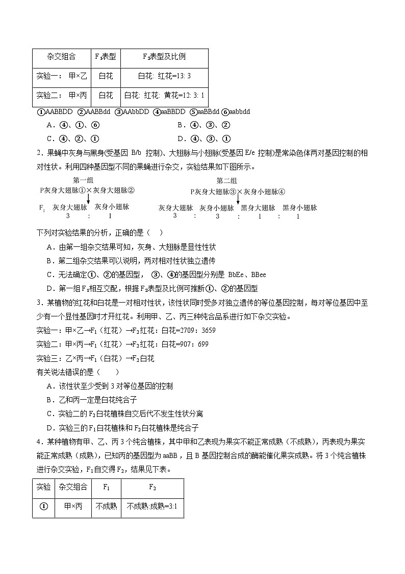 第16讲 自由组合定律（第二课时）（练习）（原卷版）第2页