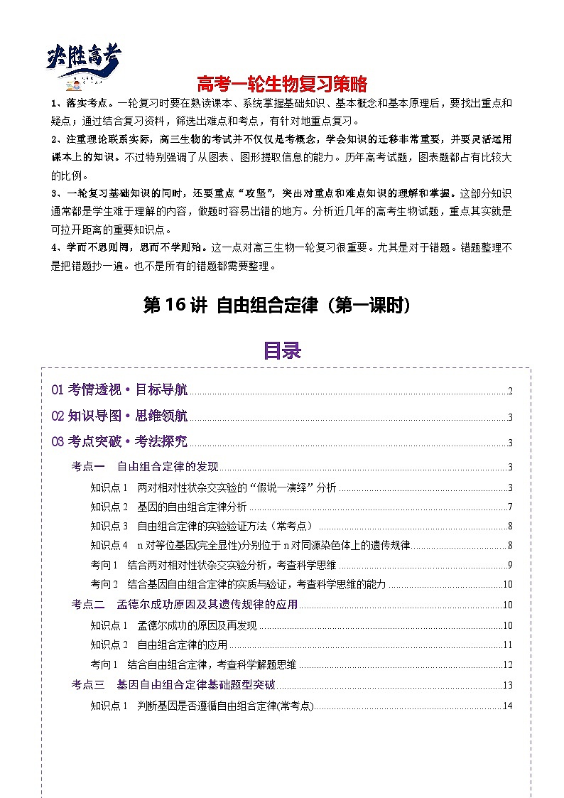 第16讲 自由组合定律（第一课时）（讲义）（原卷版）第1页