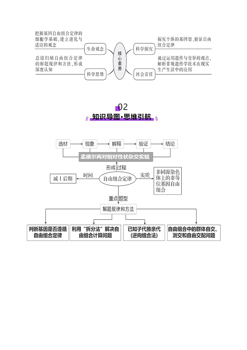 第16讲 自由组合定律（第一课时）（讲义）（原卷版）第3页