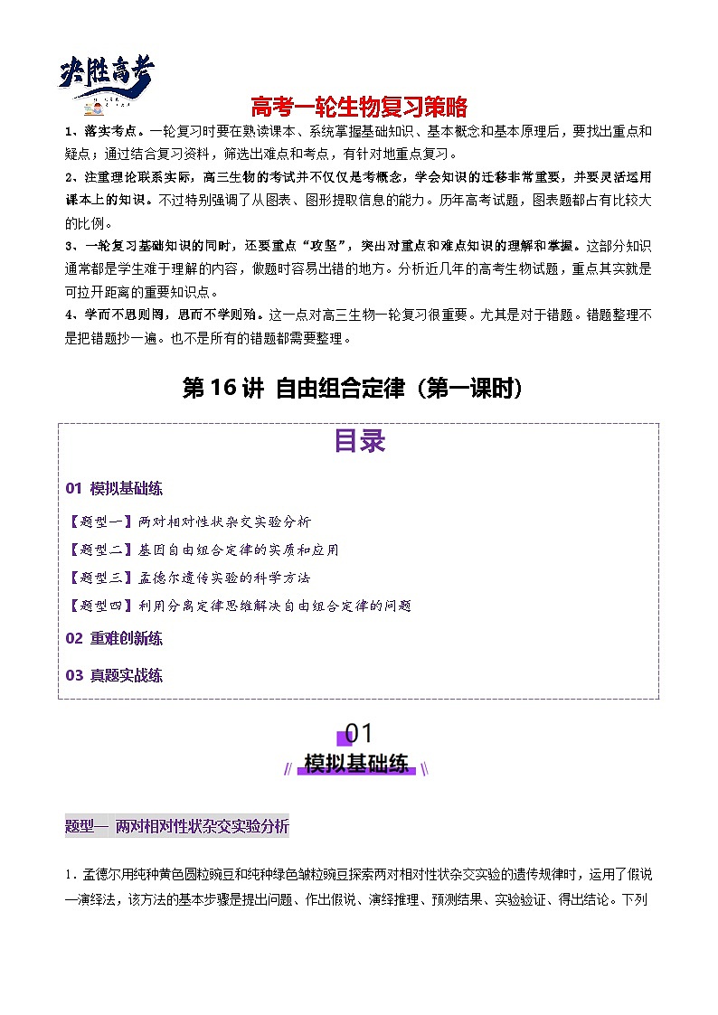 第16讲 自由组合定律（第一课时）（练习）（解析版）第1页