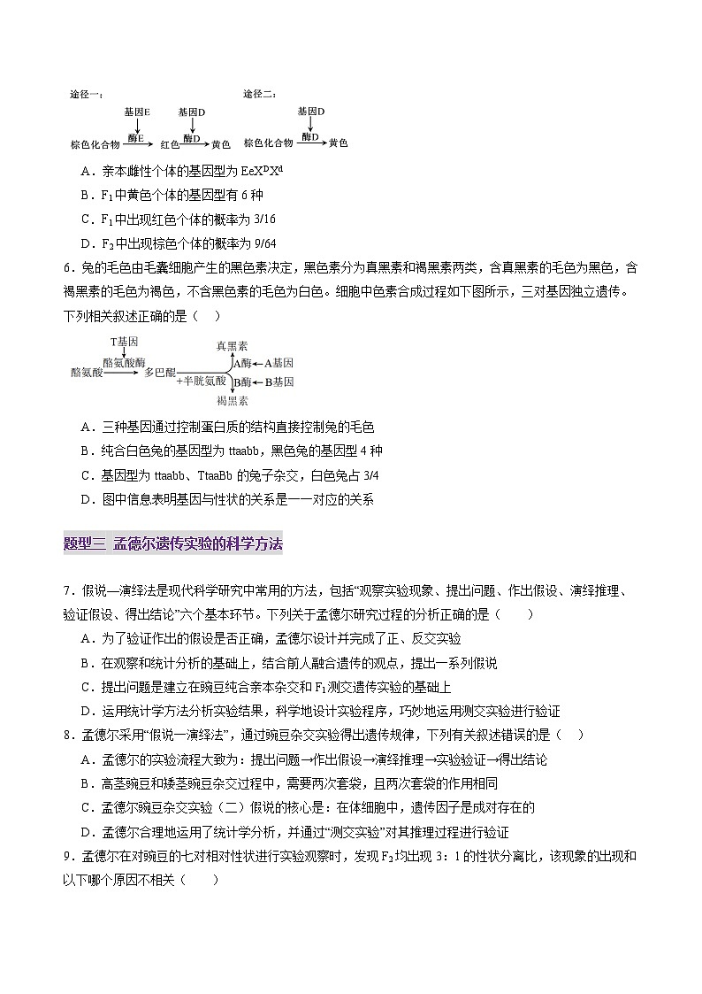 第16讲 自由组合定律（第一课时）（练习）（原卷版）第3页