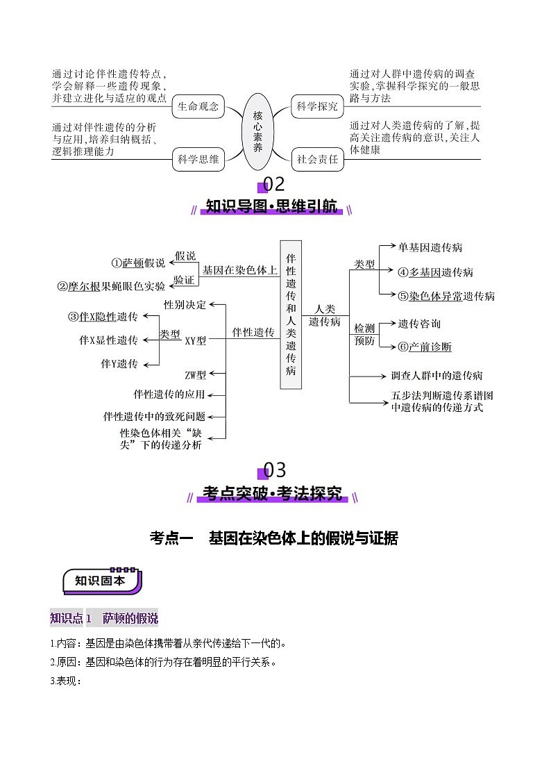第17讲 伴性遗传和人类遗传病（讲义）（解析版）第3页