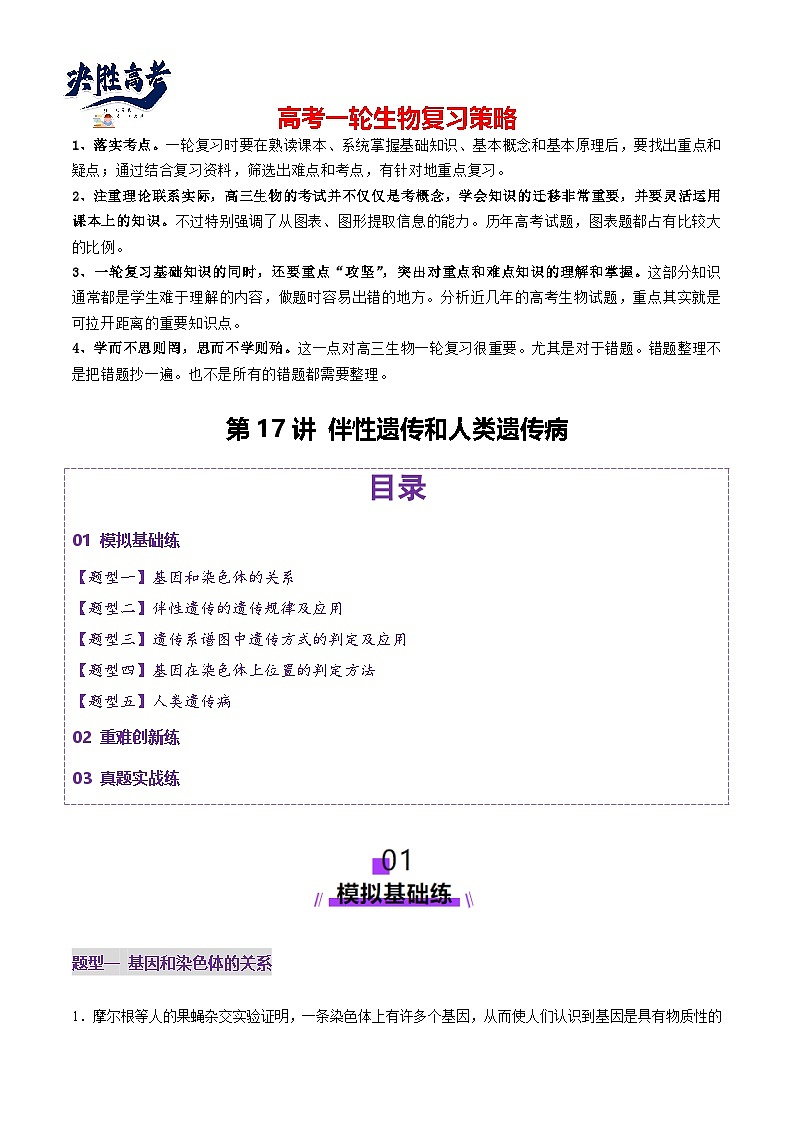 第17讲 伴性遗传和人类遗传病（练习）（原卷版）第1页