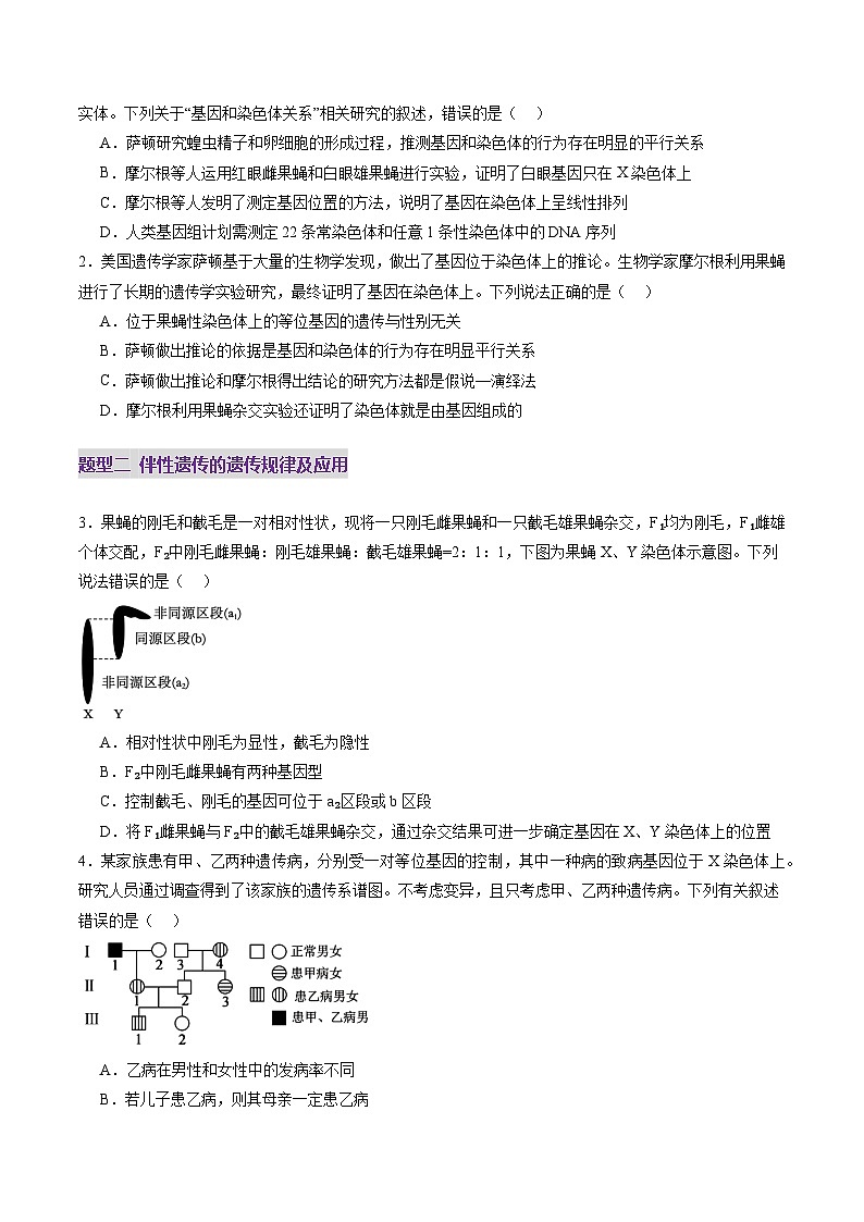 第17讲 伴性遗传和人类遗传病（练习）（原卷版）第2页