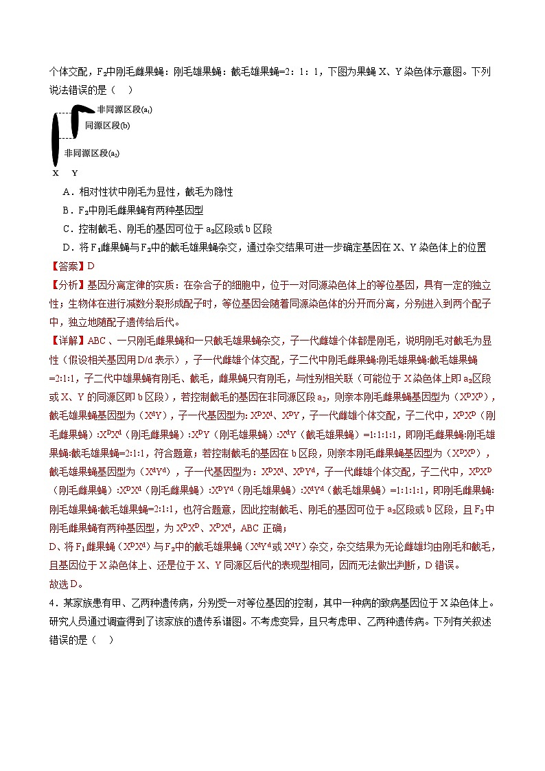 第17讲 伴性遗传和人类遗传病（练习）（解析版）第3页