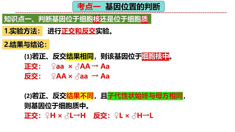 第18讲 遗传综合实验分析（精美课件）-【高考一轮】2025年高考生物一轮复习课件（新教材新高考）第7页