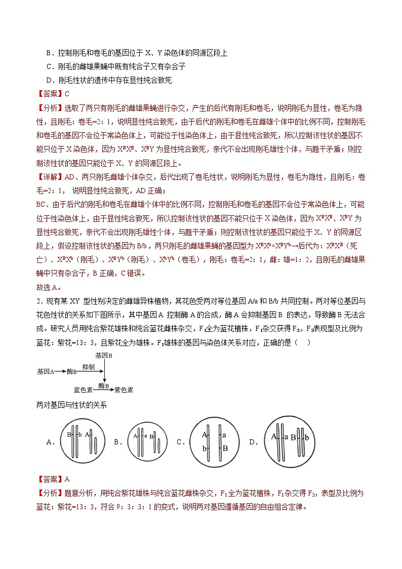 第18讲 遗传综合实验分析（练习）（解析版）第2页