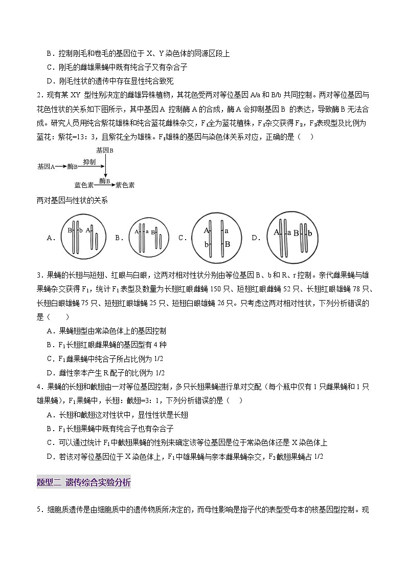 第18讲 遗传综合实验分析（练习）（原卷版）第2页