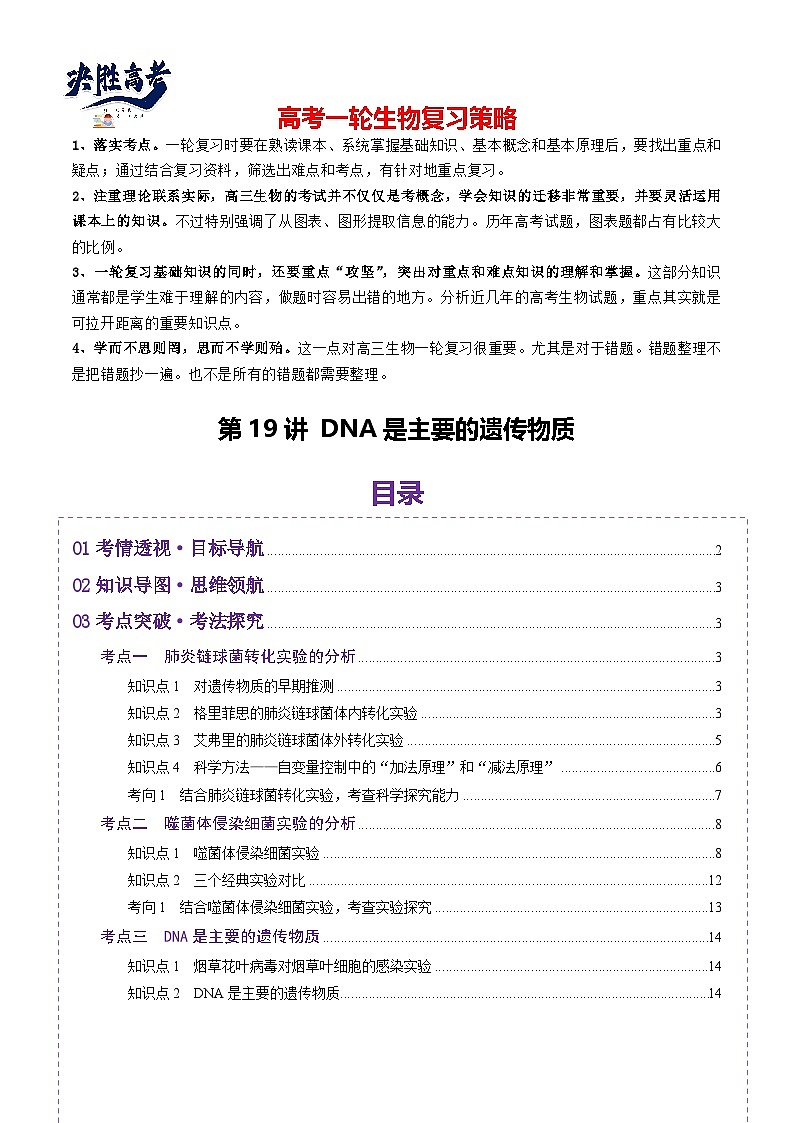 第19讲 DNA是主要的遗传物质（讲义）（原卷版）第1页