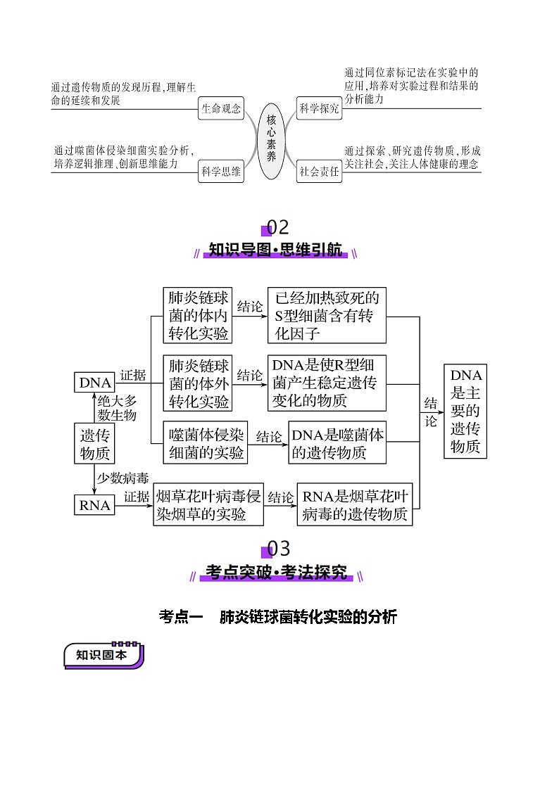 第19讲 DNA是主要的遗传物质（讲义）（原卷版）第3页