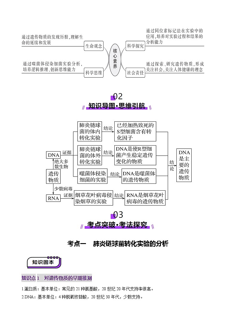 第19讲 DNA是主要的遗传物质（讲义）（解析版）第3页