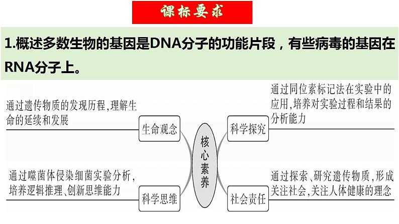 第19讲 DNA是主要的遗传物质（精美课件）-【高考一轮】2025年高考生物一轮复习课件（新教材新高考）第5页