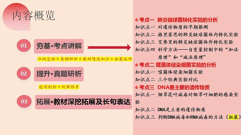 第19讲 DNA是主要的遗传物质（精美课件）-【高考一轮】2025年高考生物一轮复习课件（新教材新高考）第7页