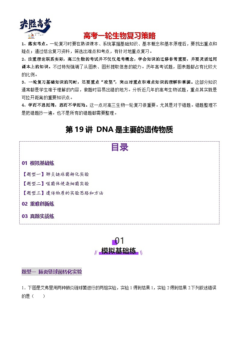 第19讲 DNA是主要的遗传物质（练习）（原卷版）第1页
