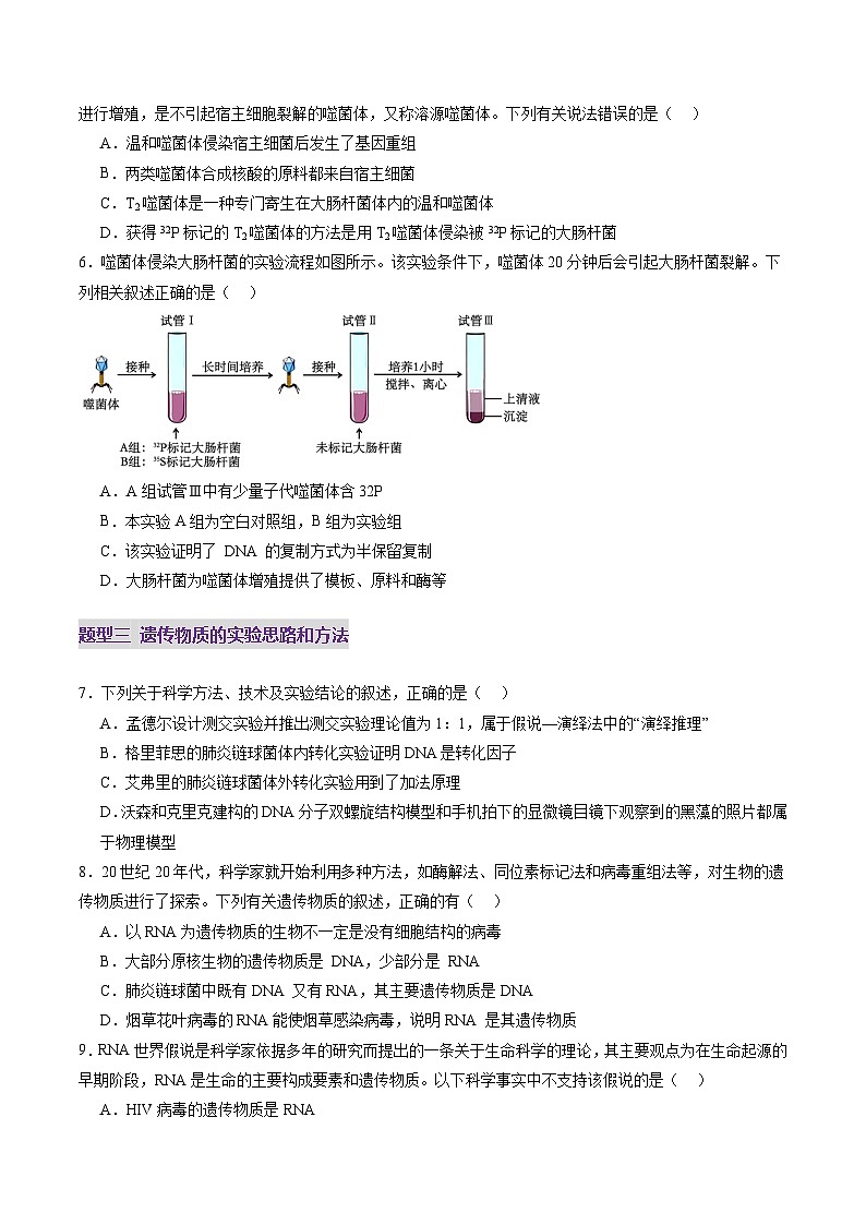 第19讲 DNA是主要的遗传物质（练习）（原卷版）第3页