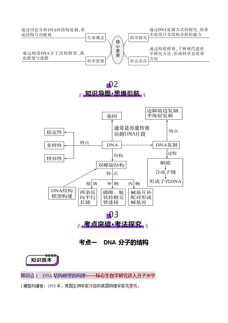 第20讲 DNA分子的结构、复制与基因的本质（讲义）（解析版）第3页