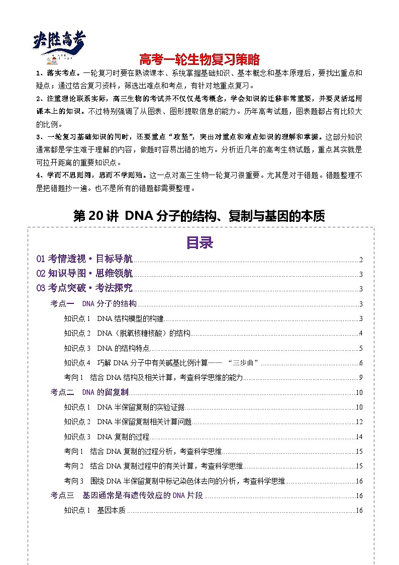 第20讲 DNA分子的结构、复制与基因的本质（讲义）（原卷版）第1页