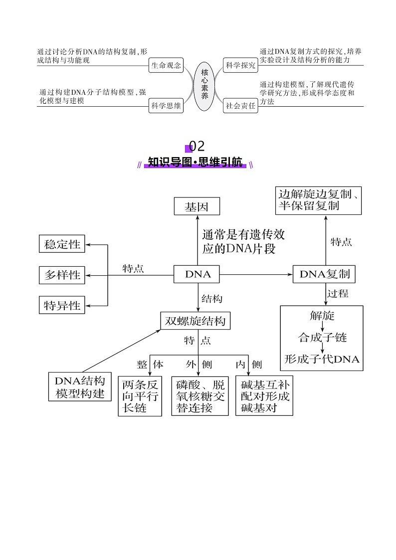 第20讲 DNA分子的结构、复制与基因的本质（讲义）（原卷版）第3页