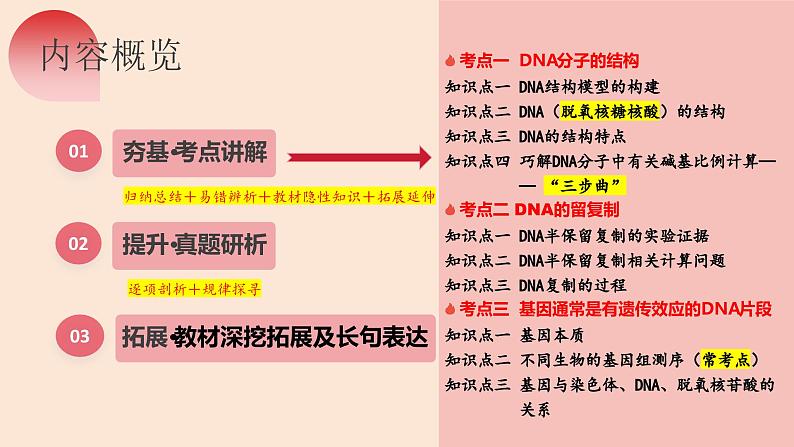 第20讲 DNA分子的结构、复制与基因的本质（精美课件）-【高考一轮】2025年高考生物一轮复习课件（新教材新高考）第7页