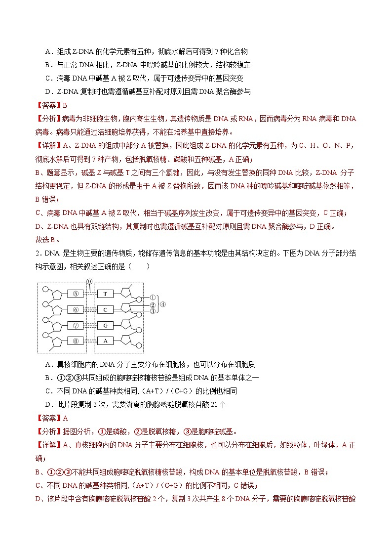 第20讲 DNA分子的结构、复制与基因的本质（练习）（解析版）第2页