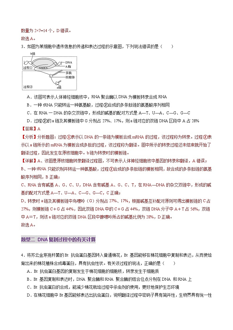 第20讲 DNA分子的结构、复制与基因的本质（练习）（解析版）第3页