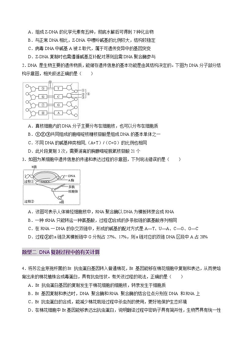 第20讲 DNA分子的结构、复制与基因的本质（练习）（原卷版）第2页