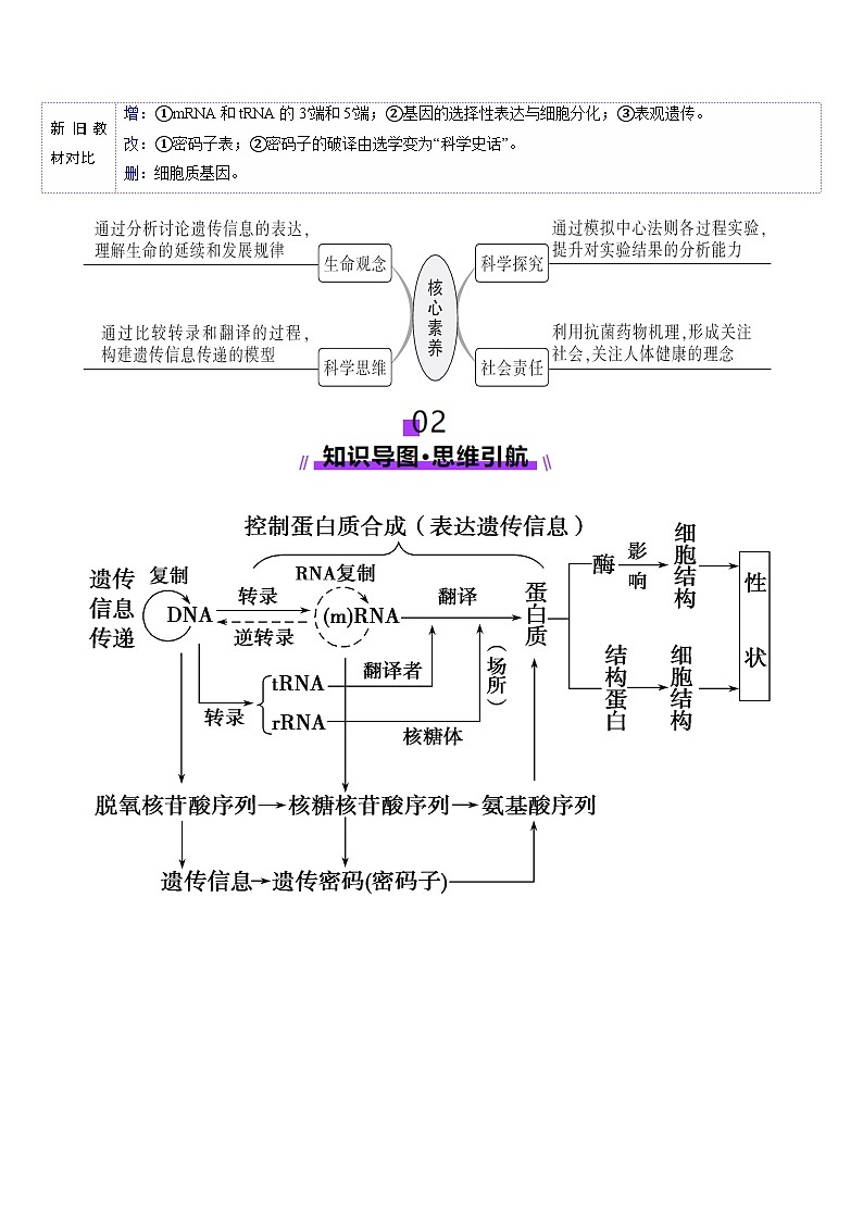 第21讲 基因的表达、基因与性状的关系（讲义）（解析版）第3页