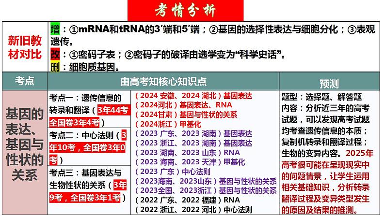 第21讲 基因的表达、基因与性状的关系（精美课件）-【高考一轮】2025年高考生物一轮复习课件（新教材新高考）第4页